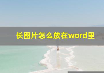 长图片怎么放在word里