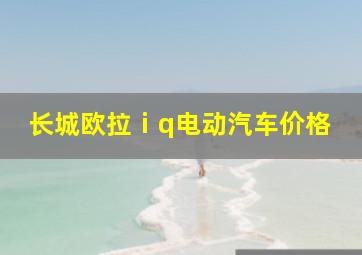 长城欧拉ⅰq电动汽车价格