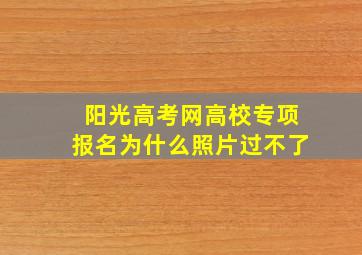 阳光高考网高校专项报名为什么照片过不了