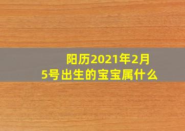 阳历2021年2月5号出生的宝宝属什么