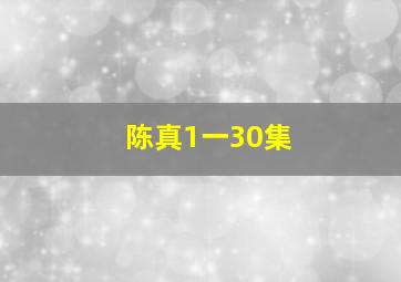 陈真1一30集