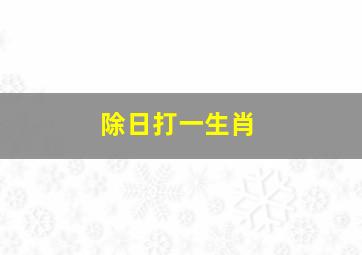 除日打一生肖