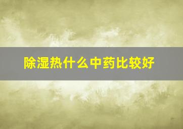 除湿热什么中药比较好