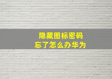 隐藏图标密码忘了怎么办华为