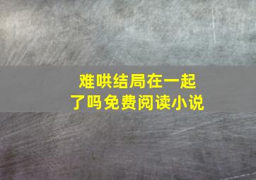 难哄结局在一起了吗免费阅读小说