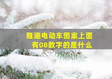 雅迪电动车图案上面有08数字的是什么