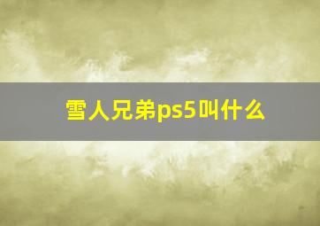 雪人兄弟ps5叫什么