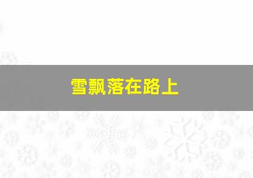 雪飘落在路上