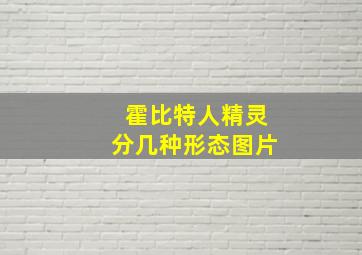 霍比特人精灵分几种形态图片