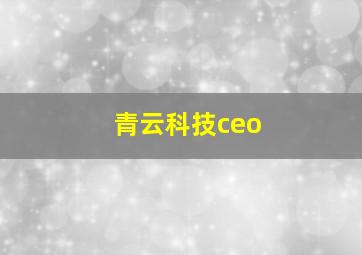 青云科技ceo