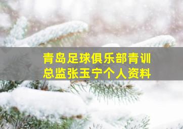 青岛足球俱乐部青训总监张玉宁个人资料