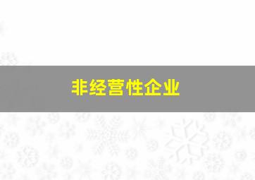 非经营性企业