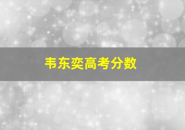 韦东奕高考分数