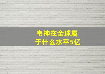 韦神在全球属于什么水平5亿