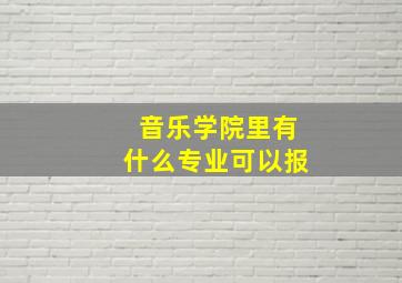 音乐学院里有什么专业可以报