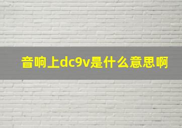 音响上dc9v是什么意思啊