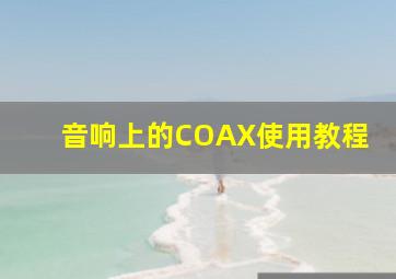 音响上的COAX使用教程