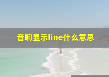 音响显示line什么意思