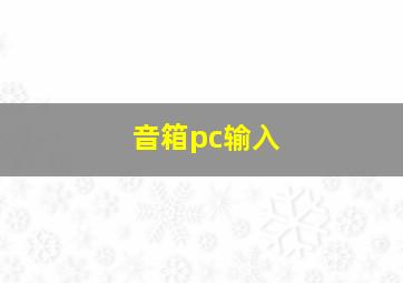 音箱pc输入