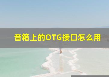 音箱上的OTG接口怎么用