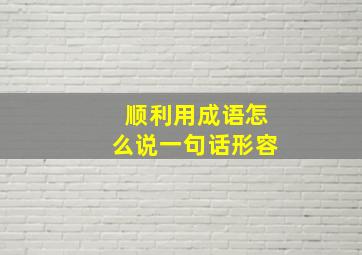 顺利用成语怎么说一句话形容