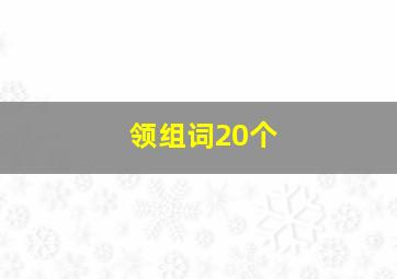 领组词20个