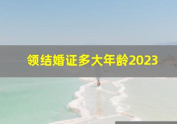 领结婚证多大年龄2023