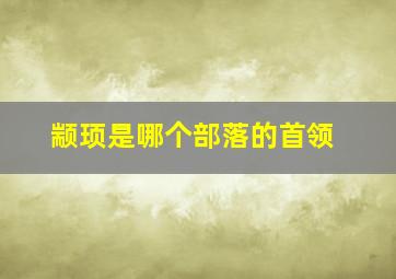 颛顼是哪个部落的首领