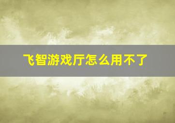 飞智游戏厅怎么用不了