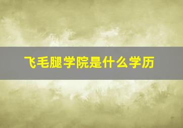 飞毛腿学院是什么学历