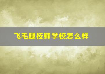 飞毛腿技师学校怎么样