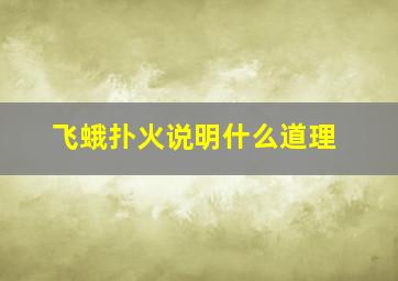 飞蛾扑火说明什么道理