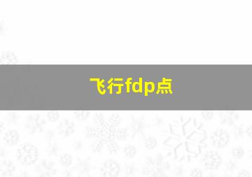 飞行fdp点