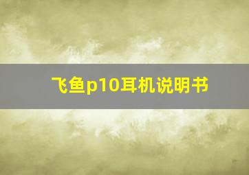 飞鱼p10耳机说明书