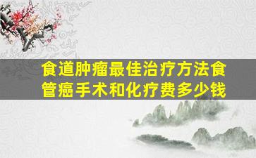 食道肿瘤最佳治疗方法食管癌手术和化疗费多少钱