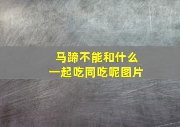 马蹄不能和什么一起吃同吃呢图片