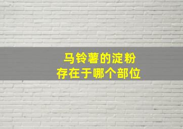 马铃薯的淀粉存在于哪个部位