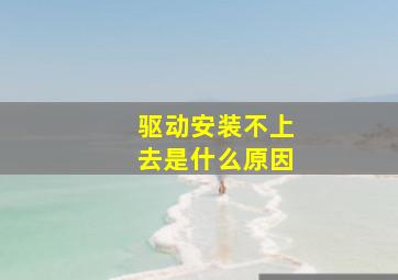 驱动安装不上去是什么原因