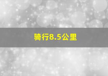 骑行8.5公里