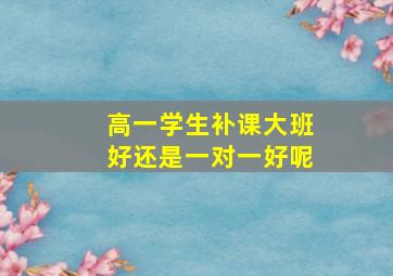 高一学生补课大班好还是一对一好呢