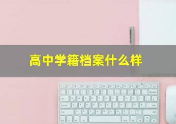 高中学籍档案什么样