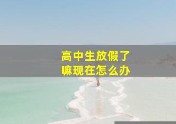 高中生放假了嘛现在怎么办