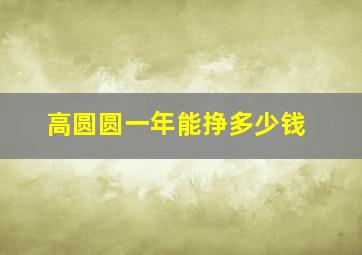 高圆圆一年能挣多少钱