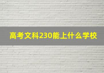 高考文科230能上什么学校