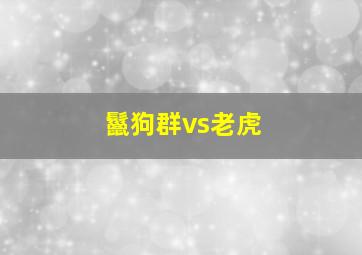 鬣狗群vs老虎