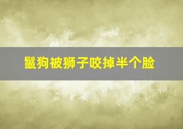 鬣狗被狮子咬掉半个脸