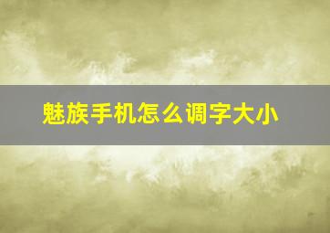 魅族手机怎么调字大小