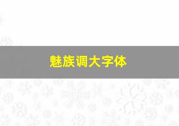 魅族调大字体