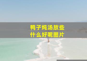 鸭子炖汤放些什么好呢图片