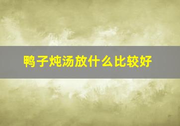 鸭子炖汤放什么比较好